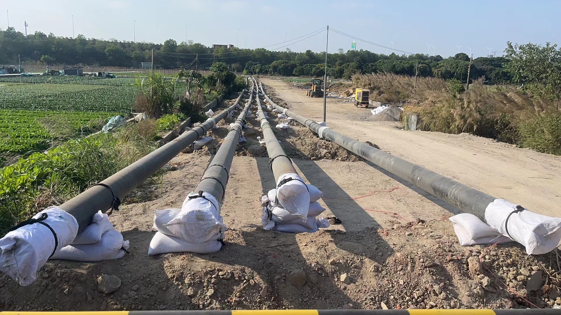 六台宝典资料免费大全