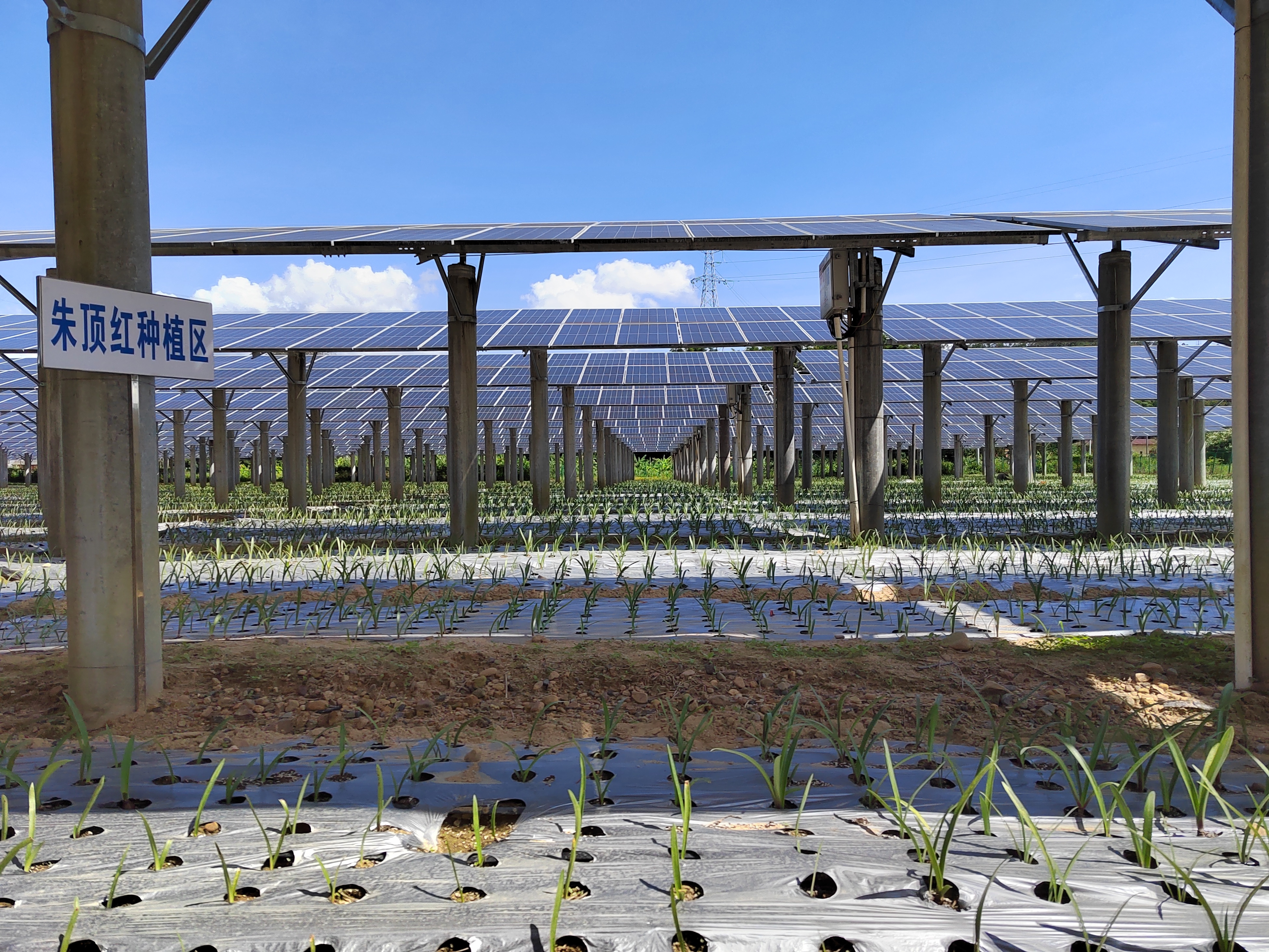 六台宝典资料免费大全