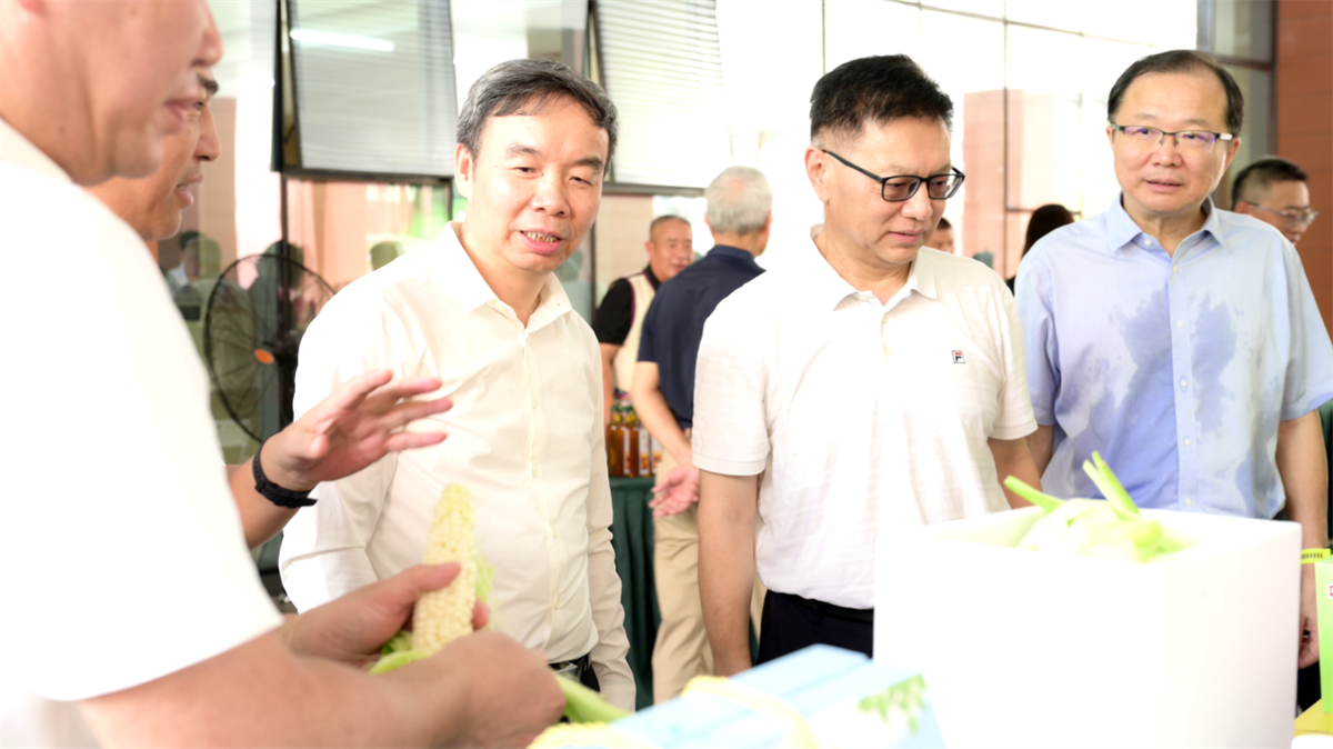 六台宝典资料免费大全