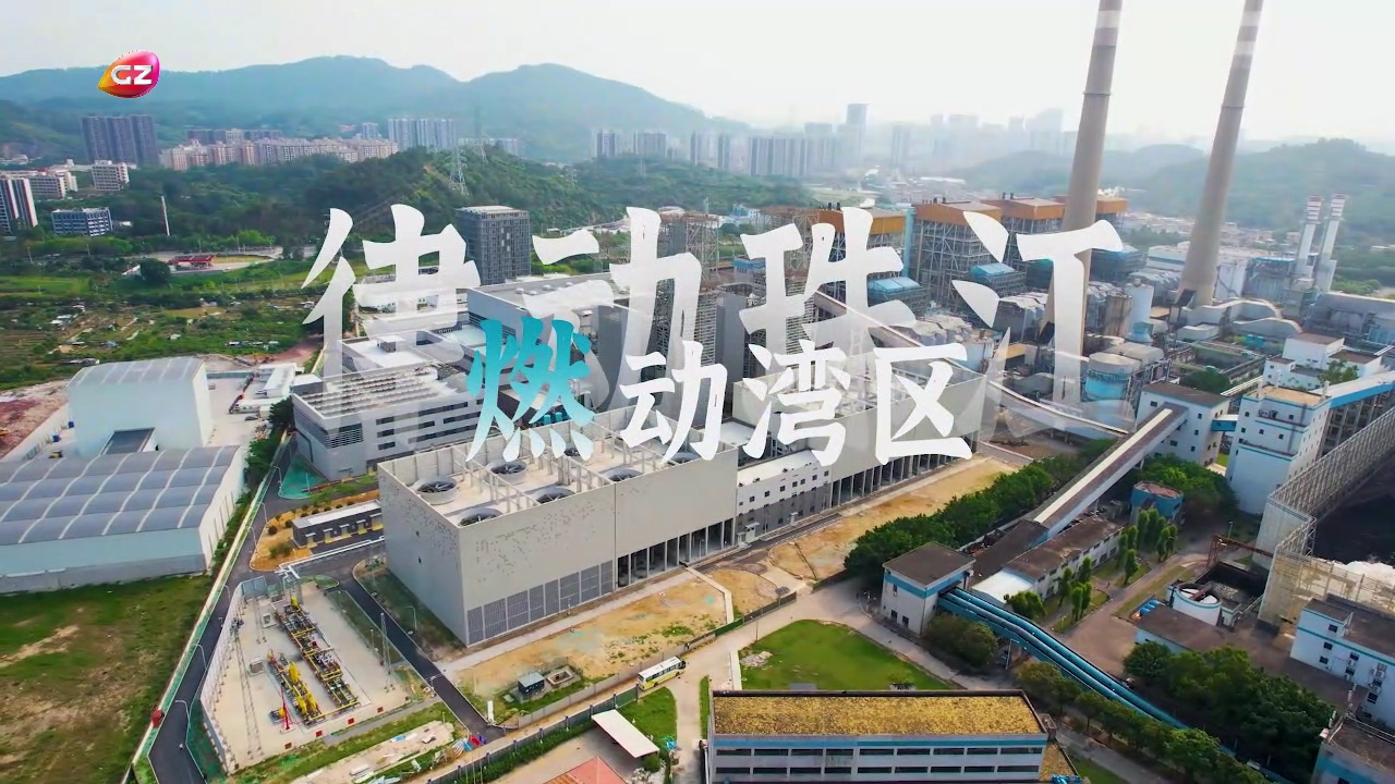 六台宝典资料免费大全