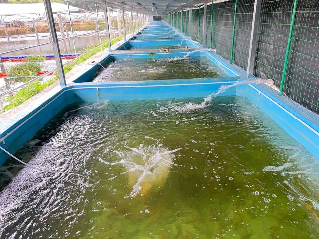 六台宝典资料免费大全